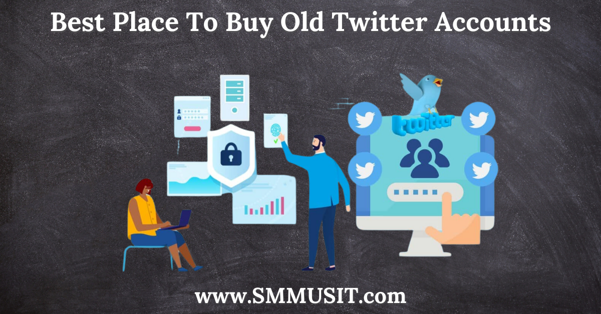 Best Place To Buy Old TwitterX Accounts